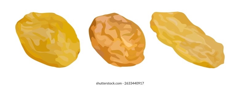 Close-up illustration of three golden raisins isolated on white, ideal for food packaging, nutrition blogs, or healthy snack concepts