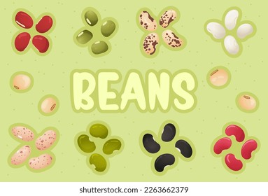 Close-up illustration of various types of beans. Flat, hand-drawn style. This image would be great for food-related designs, especially for recipes, cooking blogs, or packaging design. Protein-rich. 