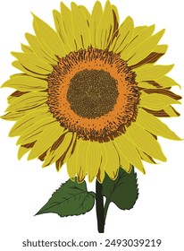 A close-up illustration of a vibrant sunflower digitally handmade 