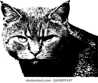 Close-up image of a cat.  Defined and with halftone effect