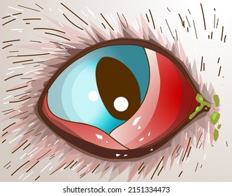 A closeup image of the infected cat's eye. Inflammation of the cat's eyes. Veterinary illustration. Vector illustration.