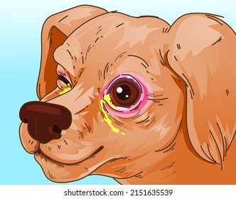 A closeup image of the infected dog's eyes. Inflammation of the dog's eyes. Veterinary illustration. Vector illustration