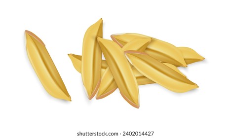 Close-up image of vector rice grains on whitebackground