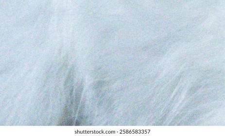 a close-up image of white cat fur, showcasing soft, fine, and fluffy texture with subtle variations in shading.