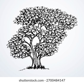 Closeup tinta caneta mão desenhado verde jardim grama grosso galho eco vida cena logotipo design estilo retro artista. Scenic vista exterior queda flor flor botão céu lápis arte carta branco cartão texto espaço