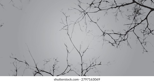 Close-up of intricate, bare tree branches silhouetted against a soft, overcast sky.