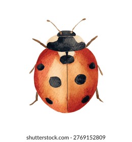 Closeup of ladybug with black spots