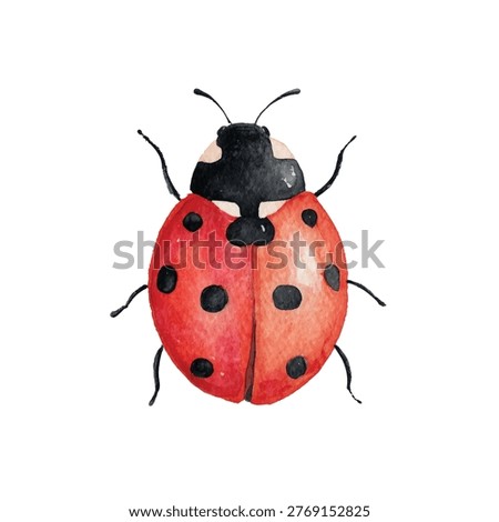 Closeup of ladybug with red shell