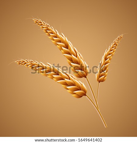 Closeup looking at malt in 3d illustration