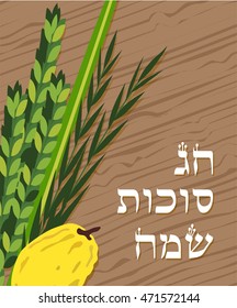 Closeup of Lulav (date palm) ,Etrog (citron) , Arava (willow) and Hadas (myrtle), Four species symbols of the Jewish festival of Sukkot. happy holiday in Hebrew