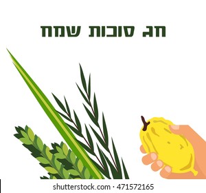 Closeup of Lulav (date palm) ,Etrog (citron) , Arava (willow) and Hadas (myrtle), Four species symbols of the Jewish festival of Sukkot. happy holiday in Hebrew