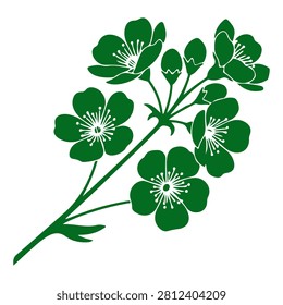 Close-up of a lush green flowering branch showcasing multiple blossoms and buds, emphasizing natural beauty and botanical details.