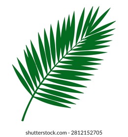 Close-up of a lush green palm leaf showcasing detailed fronds and natural texture, symbolizing tropical nature and lush environments.