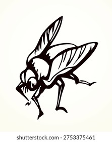 Closeup macro view small wild dog horse diptera skin gadfly zika fever pain leg wing antenna epidemy harm garden honey hive wasp plant white sky text space. Dark black ink pen line hand drawn abstract fauna logo life bible Moses god story art design