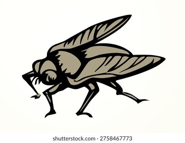 Closeup macro view small wild dog horse diptera skin gadfly zika fever pain leg wing antenna epidemy harm garden honey hive wasp plant white sky text space. Dark black ink pen line hand drawn abstract fauna logo life bible Moses god story art design