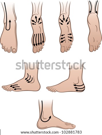 Closeup man feet with massaging lines  isolated on white background (vector illustration)