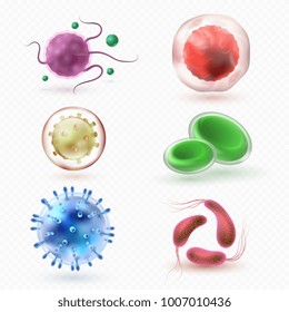 Closeup microscopic body virus cells and bacteria isolated vector set. Bacterium microorganism, bacteria and health microbe illustration