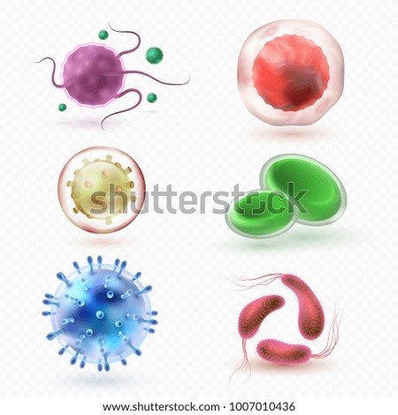 Closeup microscopic body virus cells and bacteria isolated vector set. Bacterium microorganism, bacteria and health microbe illustration