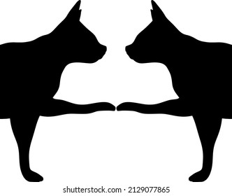 close-up of a mirrored cat silhouette on a white background