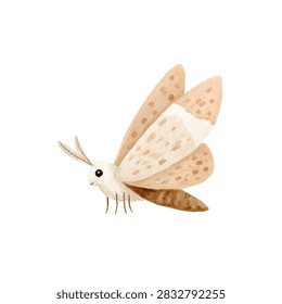 Closeup of a moth with large wings