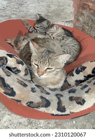 close-up mother cat and kittens