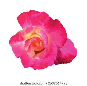 Close-up of a multicolored hybrid tea rose (Rosa 'Double Delight') with vibrant pink, orange, and yellow petals isolated on a white background. Perfect for floral,design, romantic themes. Vector.
