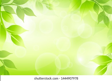 Closeup nature view of green leaf on blurred greenery background 
in garden with copy space for text background