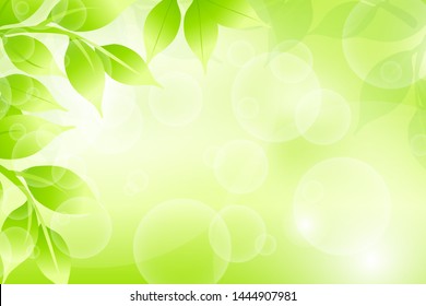Closeup nature view of green leaf on blurred greenery background 
in garden with copy space for text background