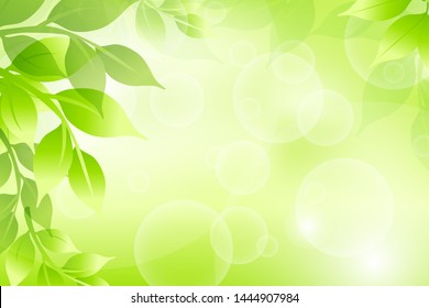 Closeup nature view of green leaf on blurred greenery background 
in garden with copy space for text background