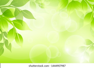 Closeup nature view of green leaf on blurred greenery background 
in garden with copy space for text background