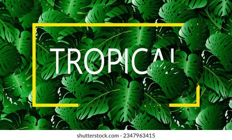 closeup nature view of green leaf background. Flat lay, dark nature concept, tropical leaf frame.