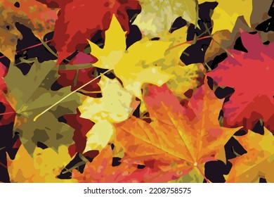 Closeup nature view of red and yellow maple leaves vector background. Flat lay, colorful nature concept, maple leaf, group background, autumn, fall premium illustration