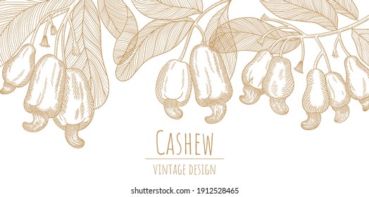 Closeup on white backdrop. Healthy natural branch with cashew