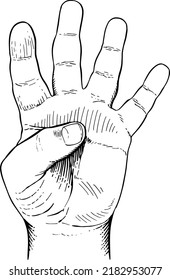 Close-up of an open hand with closed thumb.Handheld view. Black and white vector illustration. Gesture of the hands