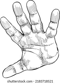 Close-up of open hand indicating alt. Hand language. Black and white vector illustration, handheld view.