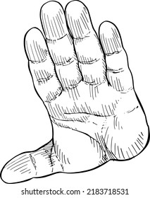 Close-up of open hand indicating alt. Hand language. Black and white vector illustration, handheld view.