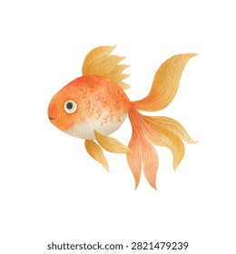 Closeup of orange goldfish swimming