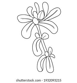 Close-up of a patterned fragment on a white background. Illustration of vector graphics, where plant elements are depicted. Material for creating patterns, decorative backgrounds, or seamless designs.