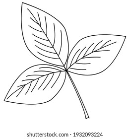 Close-up of a patterned fragment on a white background. Illustration of vector graphics, where plant elements are depicted. Material for creating patterns, decorative backgrounds, or seamless designs.