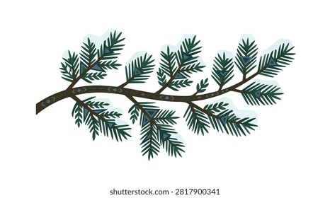 Close-up of pine branch with green needles dusted with snow illustrating winter outdoor environment and cold weather atmosphere