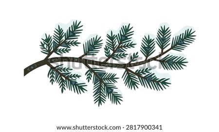 Close-up of pine branch with green needles dusted with snow illustrating winter outdoor environment and cold weather atmosphere