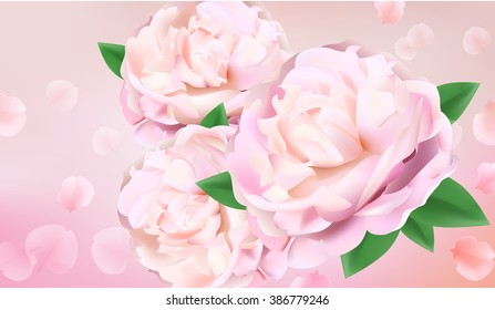 Closeup of pink peony flowers, soft vector floral background, abstract editable template with peonies and petals