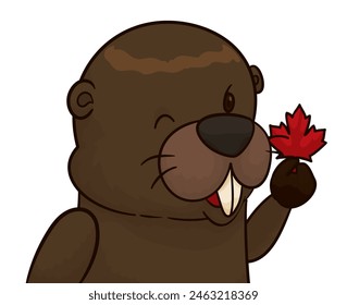 Close-up portrait of a cute beaver holding a maple leaf. Cartoon style design.