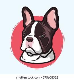 Closeup Portrait of the Domestic Dog French Bulldog Breed on the White Background. Hand Drawn Line Art. Vector Illustration.