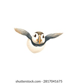 Closeup portrait of a flying puffin