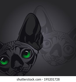 Close-up portrait of hairless Sphinx cat on black background. Vector illustration