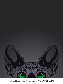 Close-up portrait of hairless Sphinx cat on black background. Vector illustration