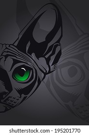 Close-up portrait of hairless Sphinx cat on black background. Vector illustration