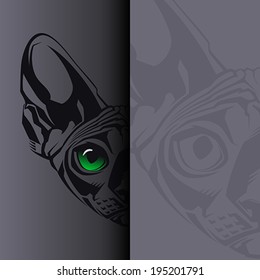 Close-up portrait of hairless Sphinx cat on black background. Vector illustration