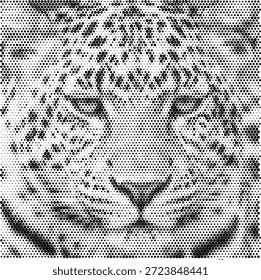 A close-up portrait illustration of a leopard face with intense eyes. This design highlights the beautiful spots and predatory focus of the big cat. Perfect for wildlife documentary covers, exotic animal prints, zoo branding, and safari marketing materials. Ideal for projects that require a bold and captivating natural image. High-quality vector artwork for detailed reproduction.